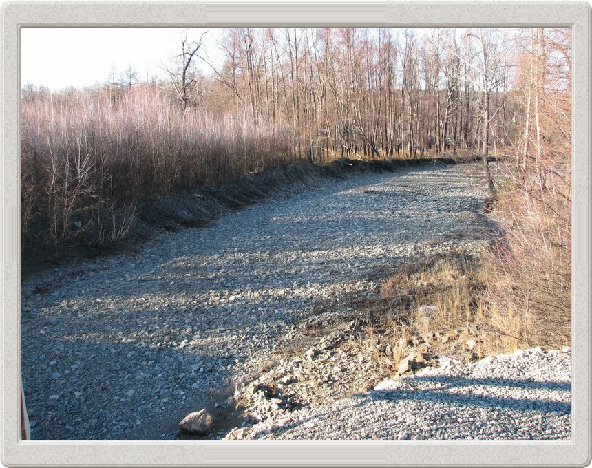 20061013_017.jpg