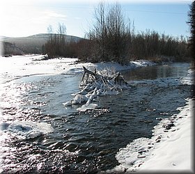 20061017_032.jpg