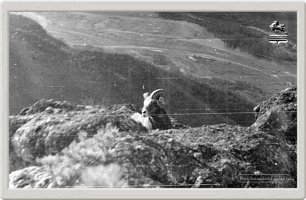 karamken_026.jpg