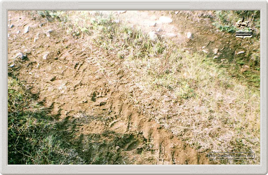 karamken_062.jpg