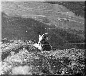 karamken_026.jpg