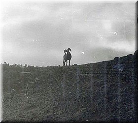 karamken_035.jpg