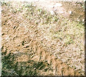 karamken_062.jpg
