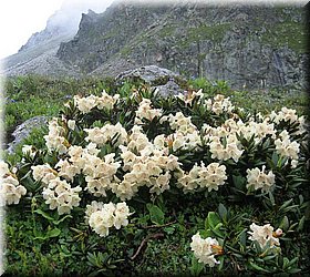 karamken_086.jpg